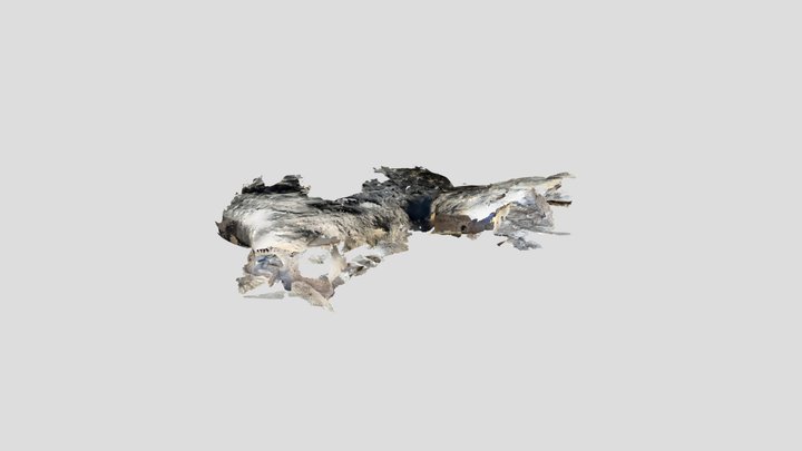 gila 2 3D Model