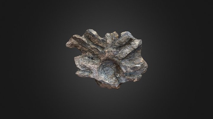 Stegosaurus Second Brain? 3D Model