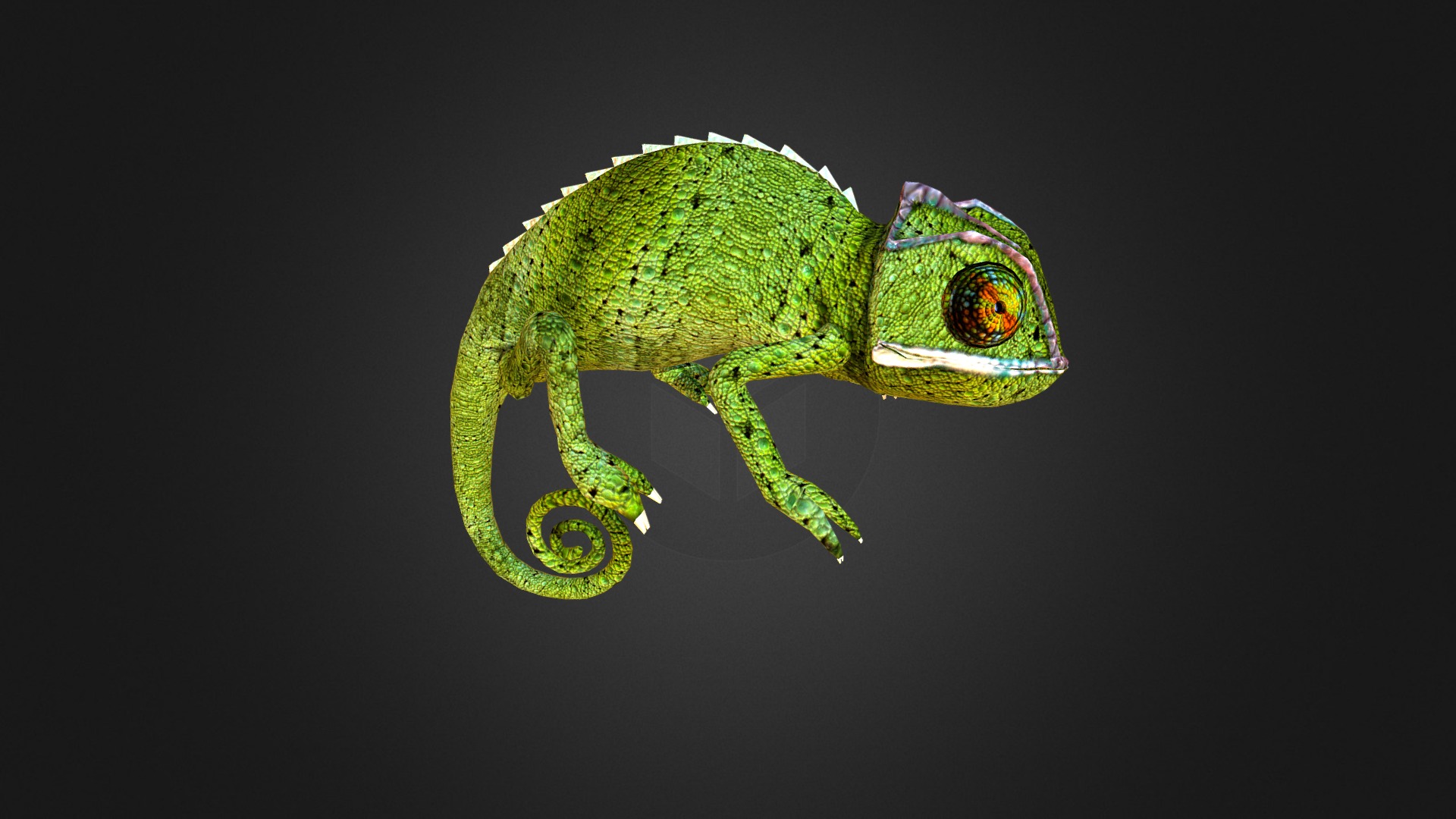 3D model Chameleon 4 - This is a 3D model of the Chameleon 4. The 3D model is about a green lizard with a black background.