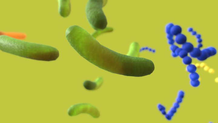 Bactérias de diferentes formatos 3D Model