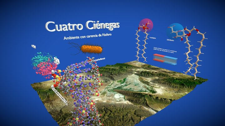Cuatro Cienegas