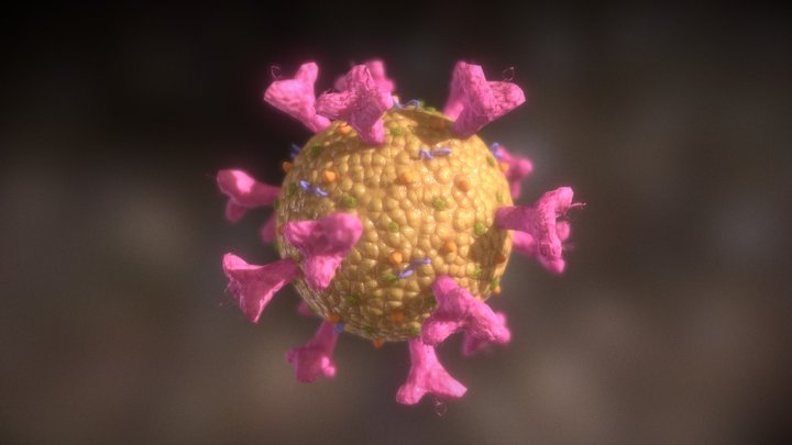 Lowpoly Coronavirus (SARS-CoV-2) 3D Model