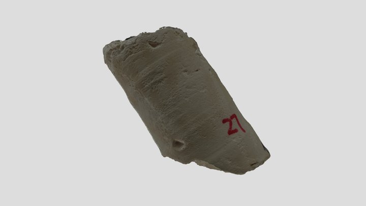 model 3D Model