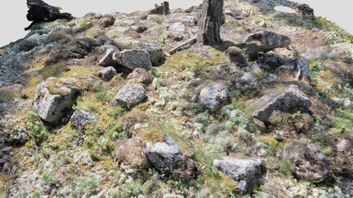 Riutanahde cairn 2, Eurajoki Finland