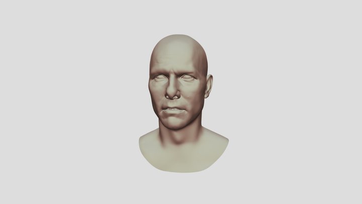 tom  XYZ WIP 3D Model