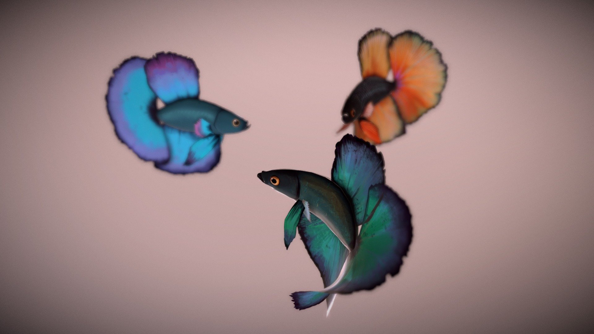 Low / High poly fishes