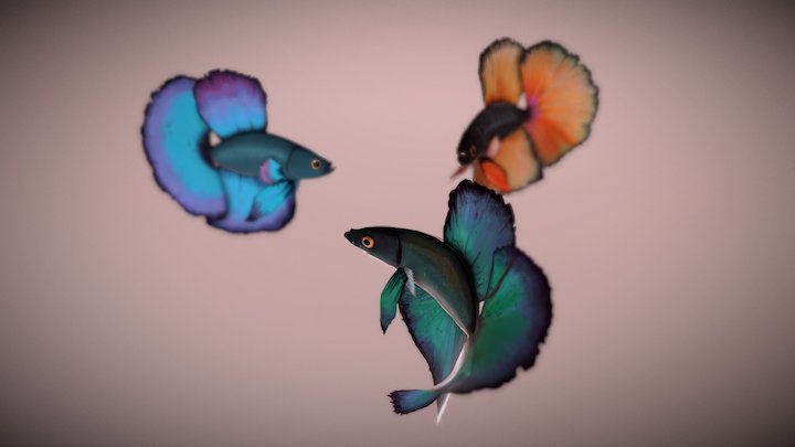 Low / High poly fishes 3D Model