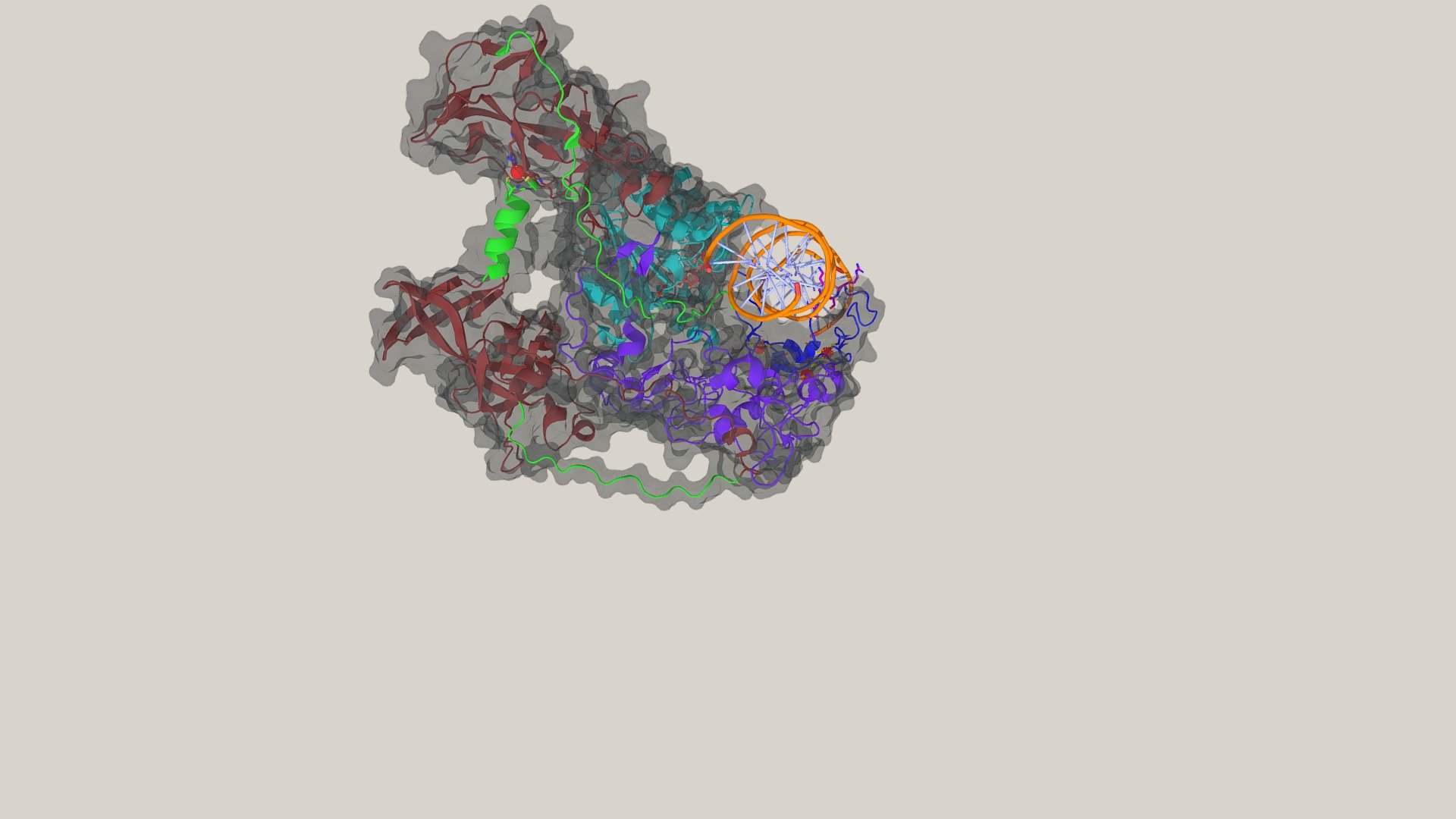 3PT6 - DNMT1 the maintenance methylation protein