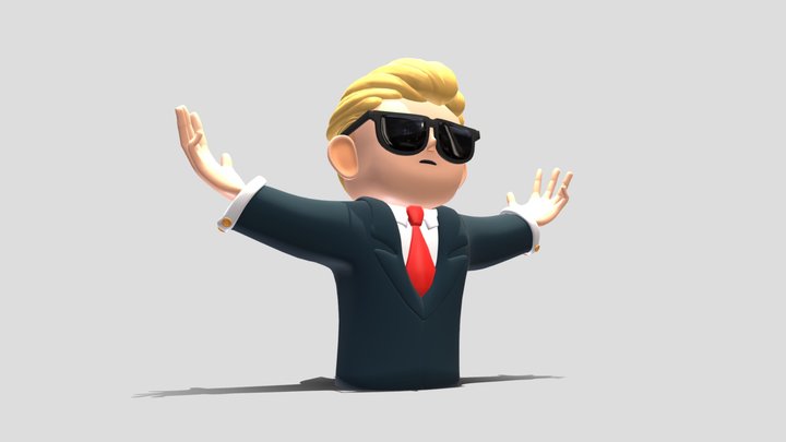 WSB 3d Print 3D Model