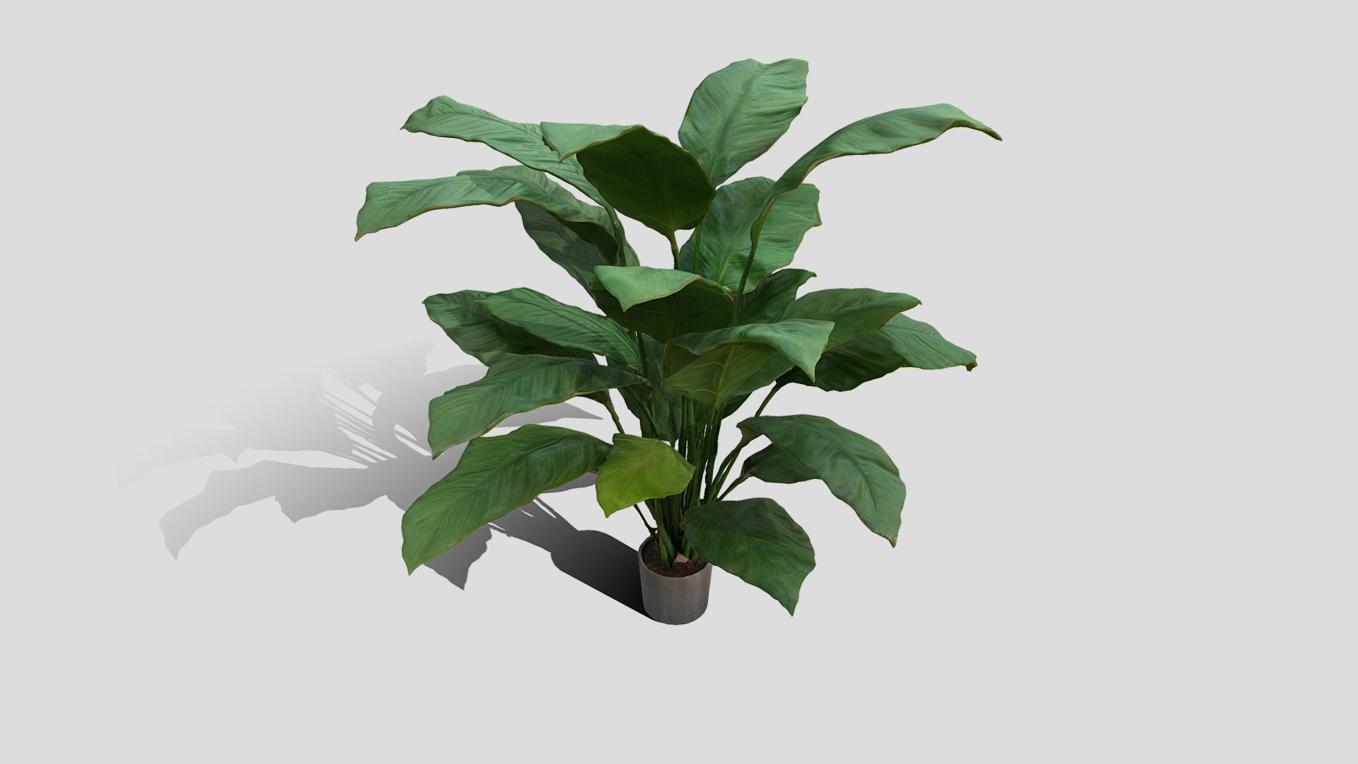 3D model 000123_192711 - This is a 3D model of the 000123_192711. The 3D model is about a potted plant with green leaves.