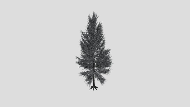 Pine Tree Variation