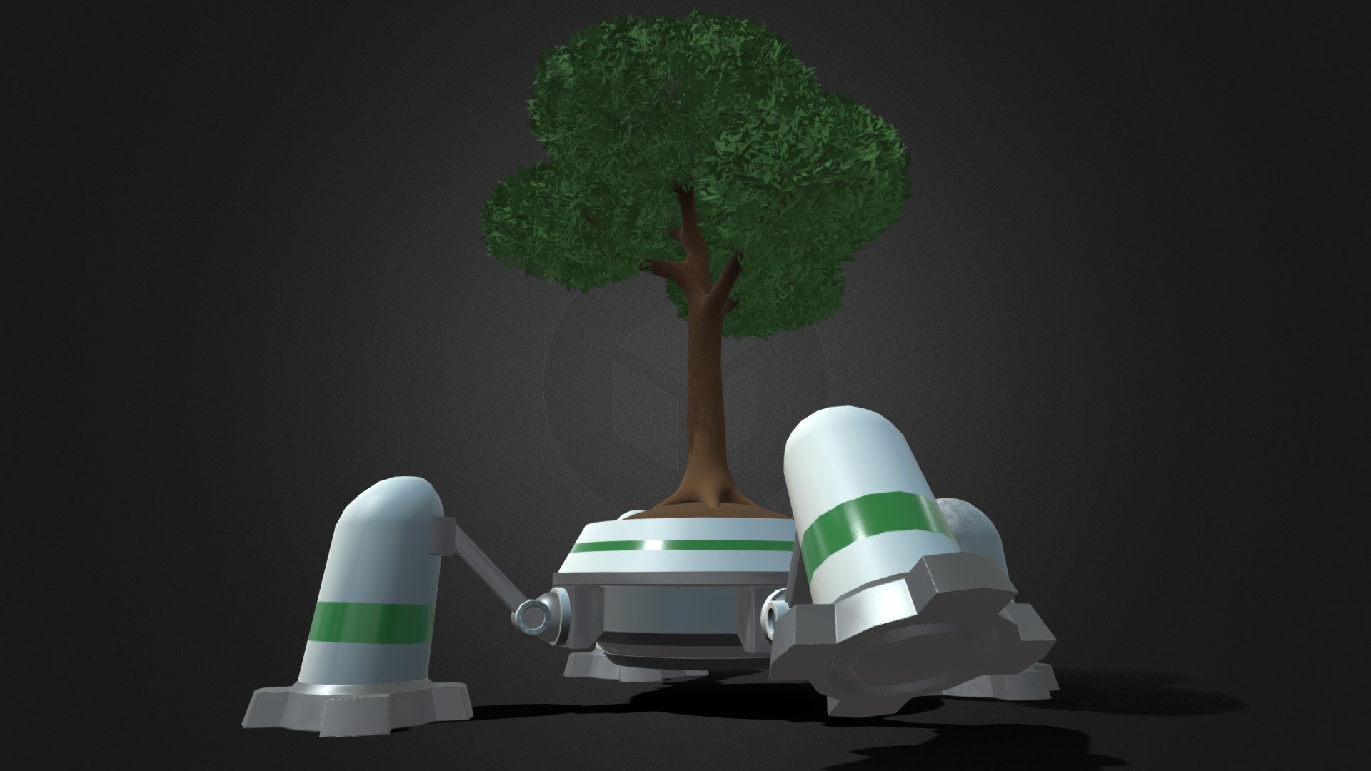 The Roaming Oak