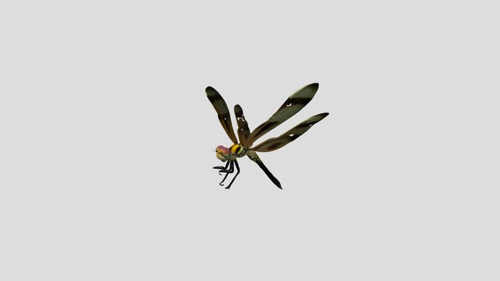 Low poly Dragonfly 3d Model – Kostenloses 3D-Modell STL