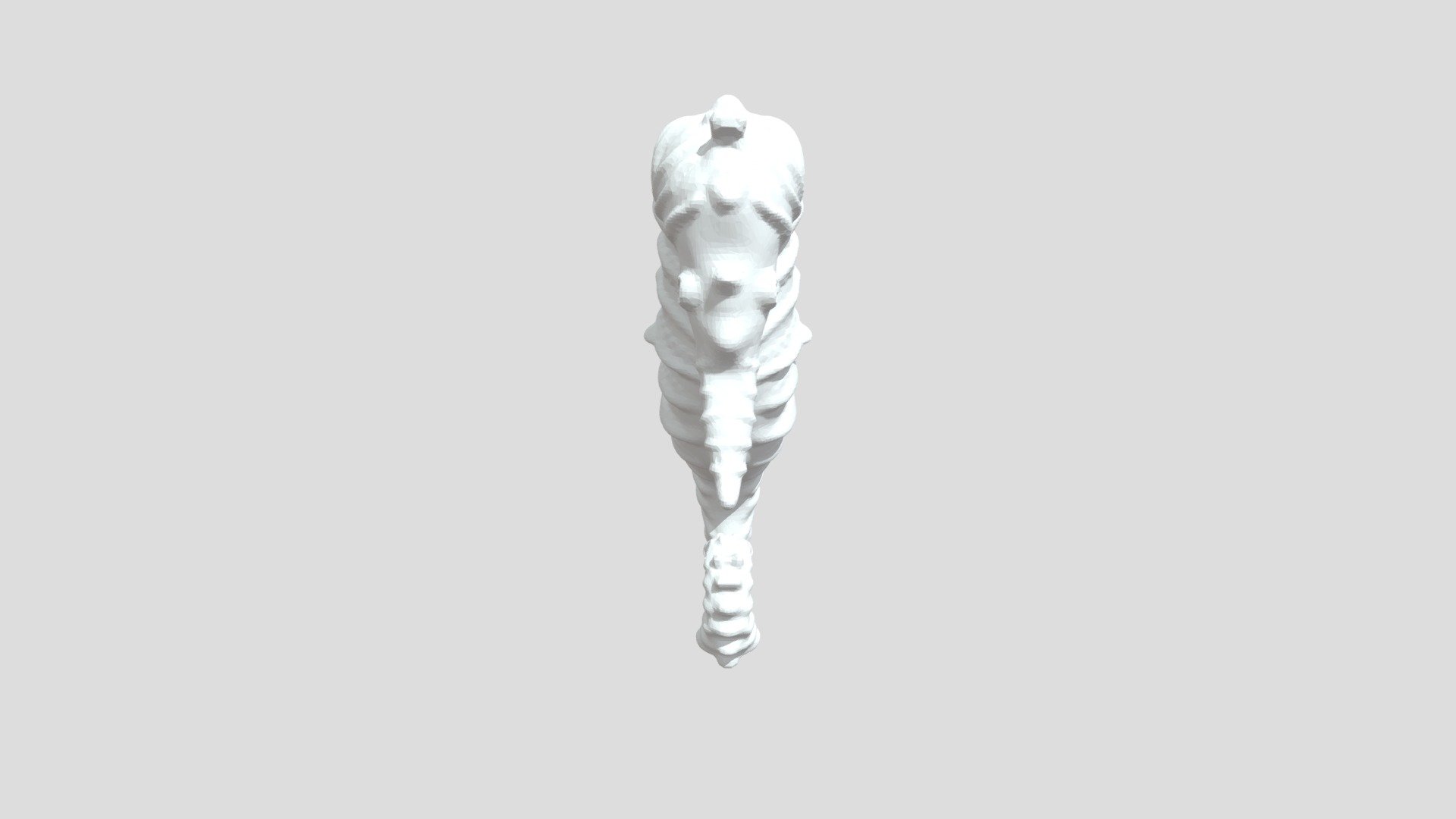 Seahorse