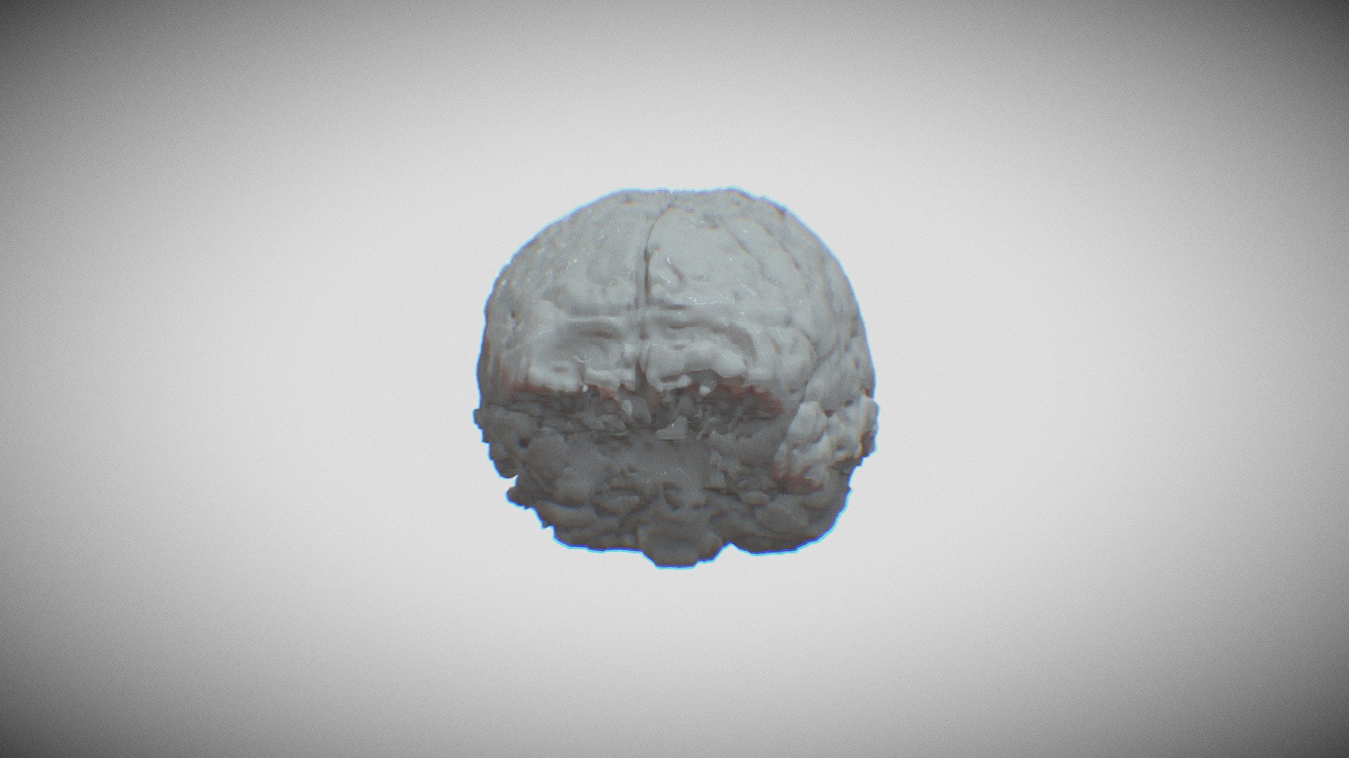 Brain of Felipe Lopes Machado