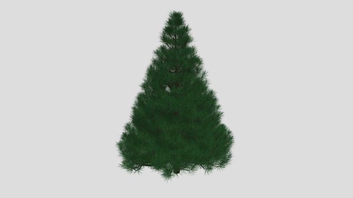 Christmas Tree 3D Model
