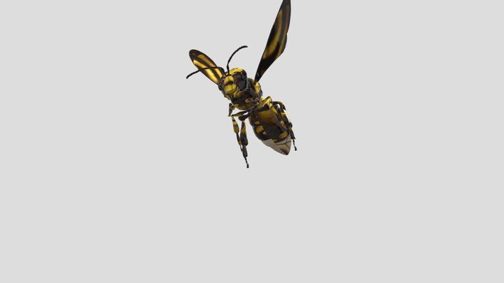 Realistic Bee 3D Model