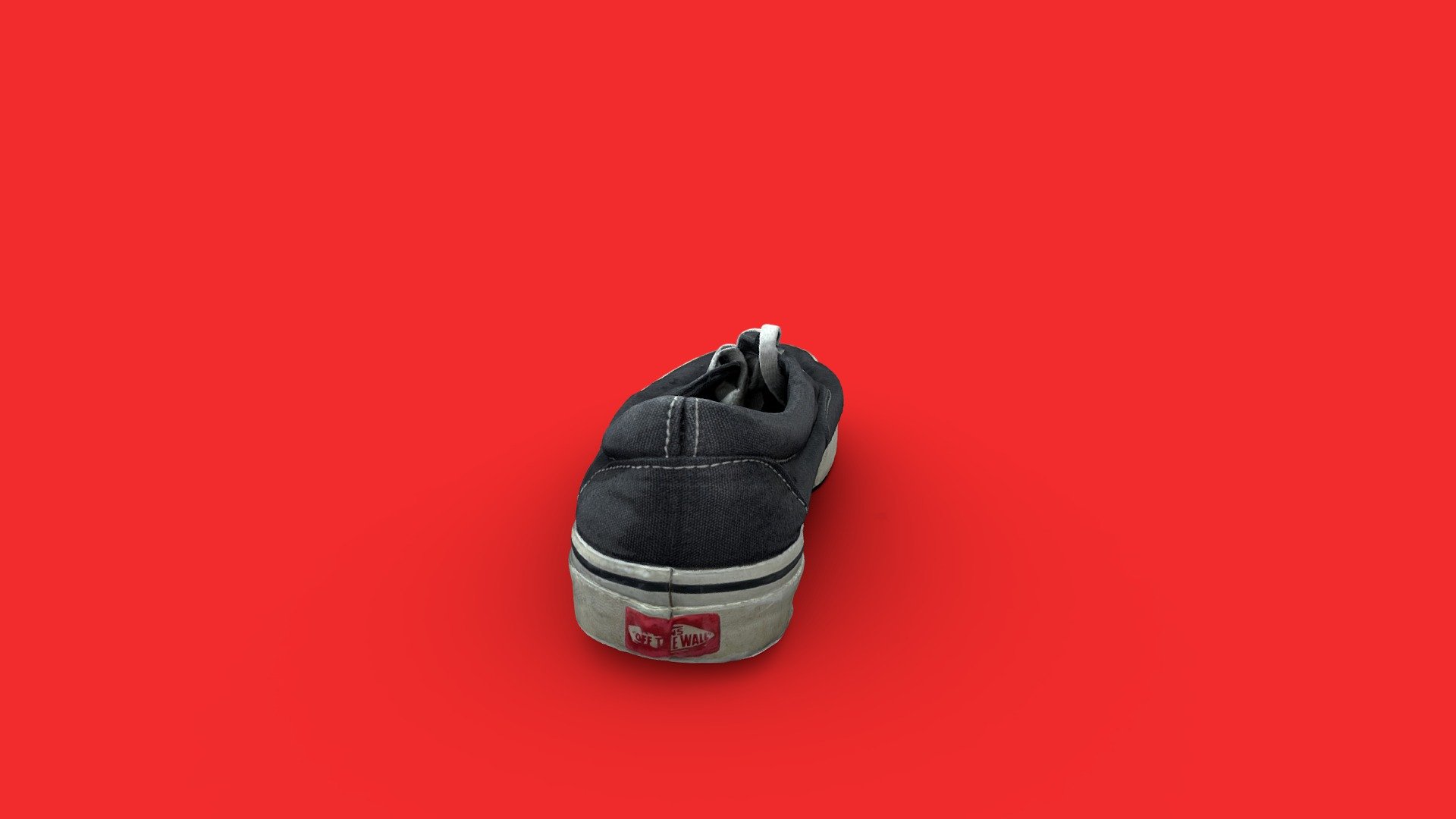 Worn Vans Shoe