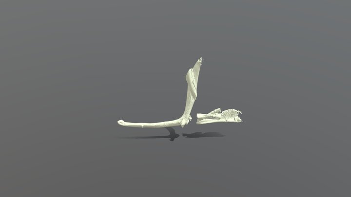 AC5_refpose_4May 3D Model
