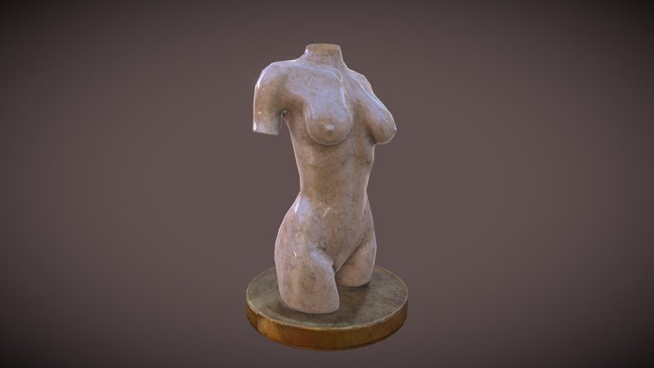 Torso_study 3D Model