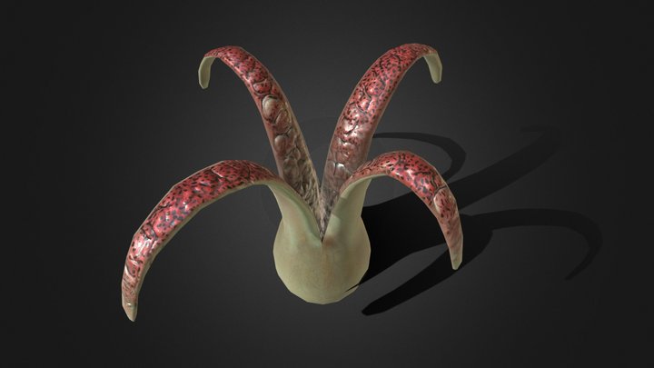 Devil's Puffball – Kostenloses 3D-Modell STL