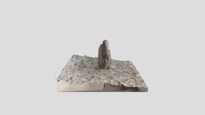 Large Driftwood Bottom 3D Model