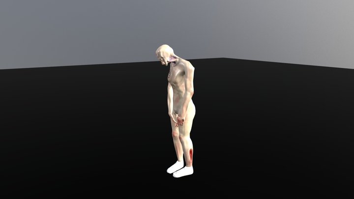 SHY ANIM 3D Model