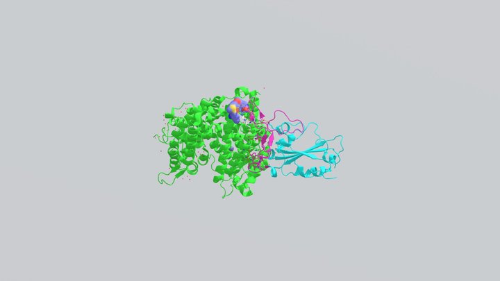 Binding of SARS-CoV-2 to ACE2 3D Model