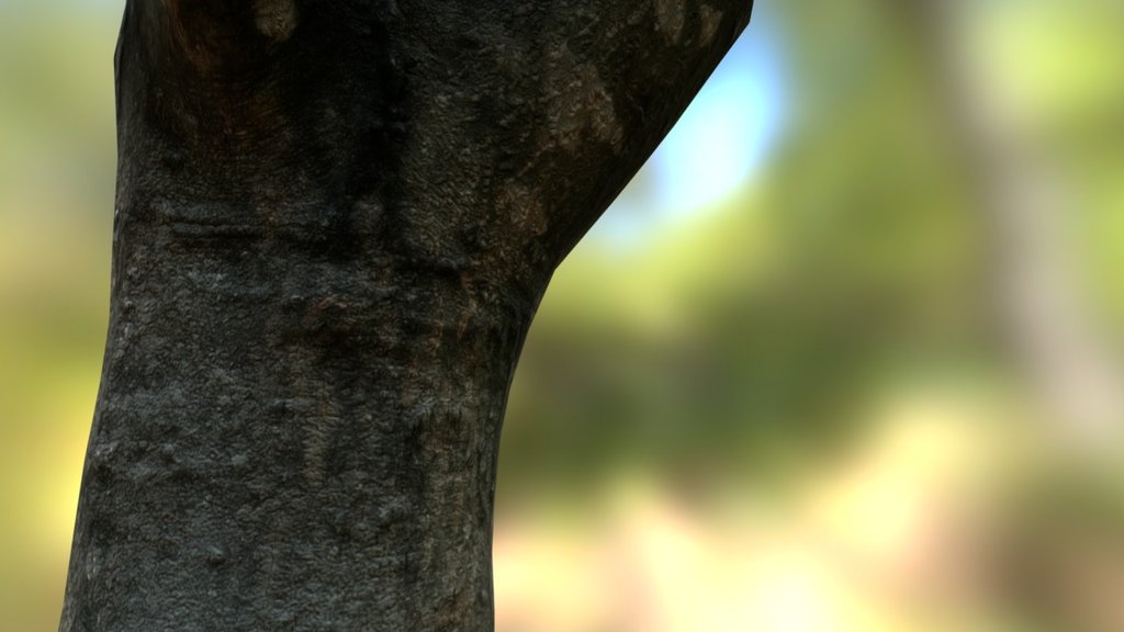 PBR(Glossiness/Specular) Scanned Tree Trunk