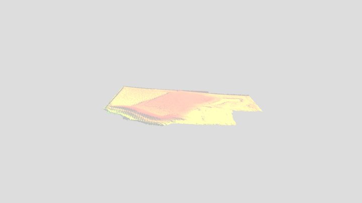 210241_2ft DTM Surface 3D Model