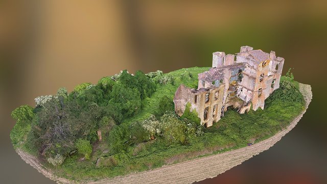 Ruine 2016 3D Model