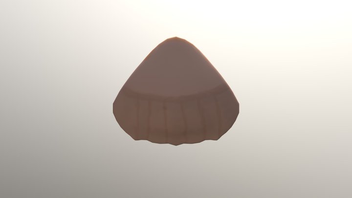 Seashell First Texture 3D Model