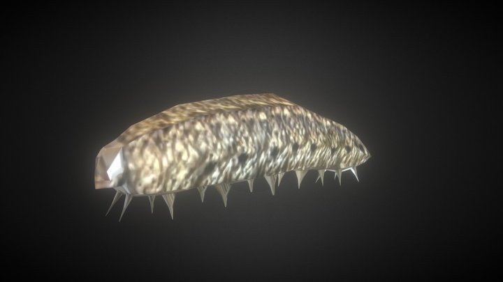 Larva 3D Model