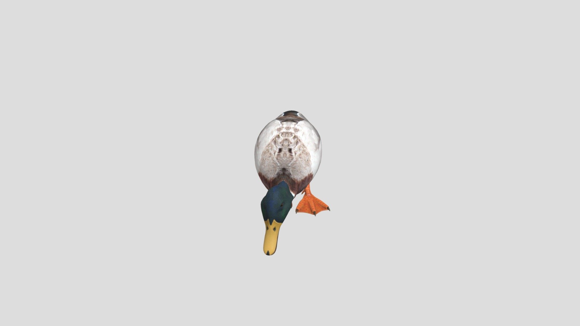 Duck Non-commercial  Duckduckgo.com OFFICIAL