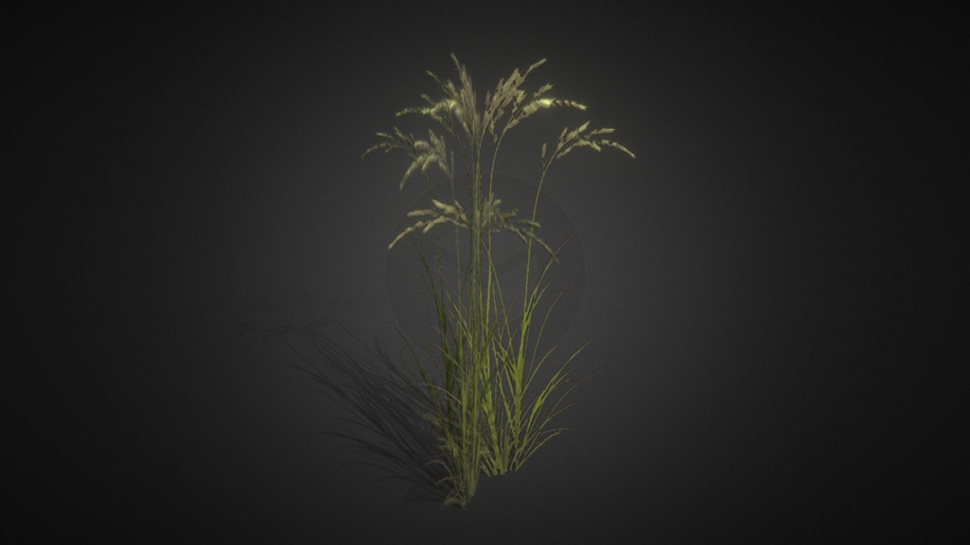 Grass lowpoly
