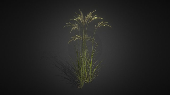 Grass lowpoly 3D Model