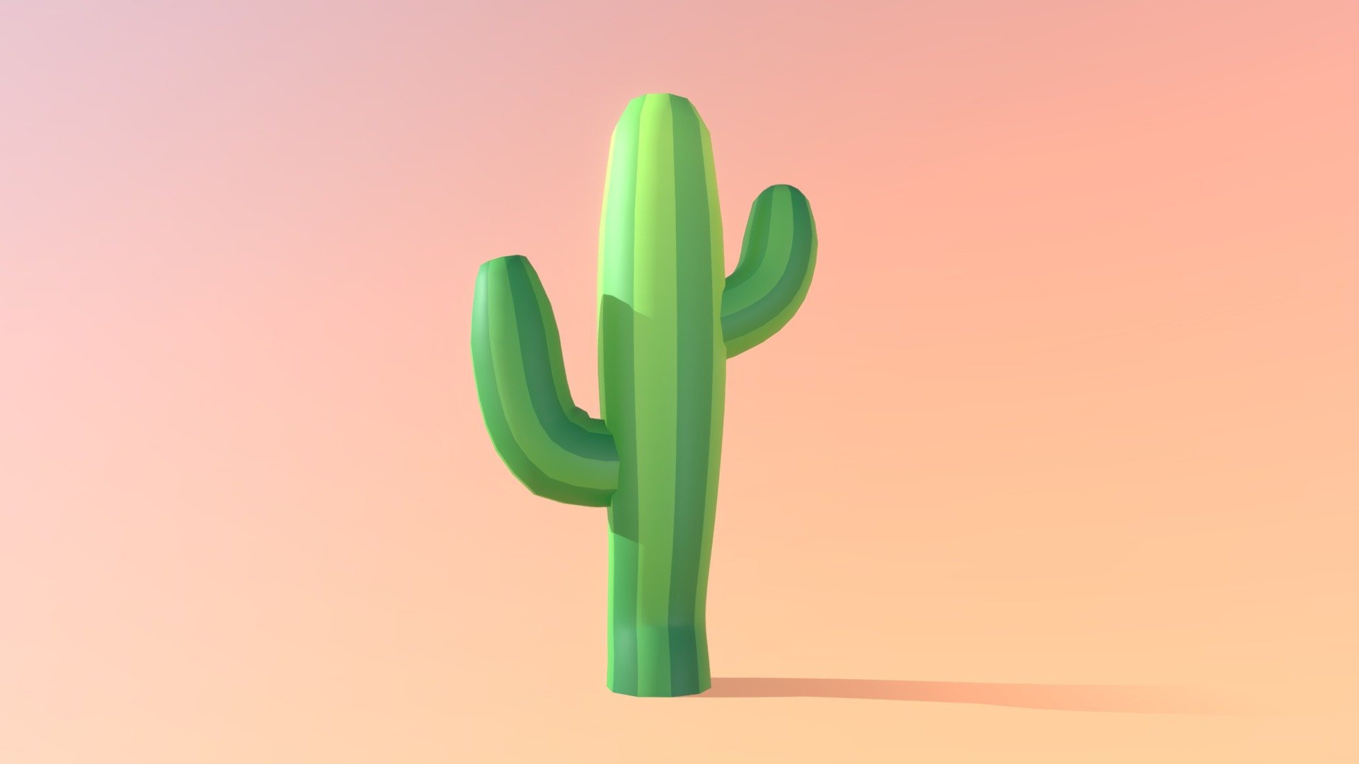 Cactus - 3D model by rhiannan_online (@rowanoaks) [81e61d2] - Sketchfab