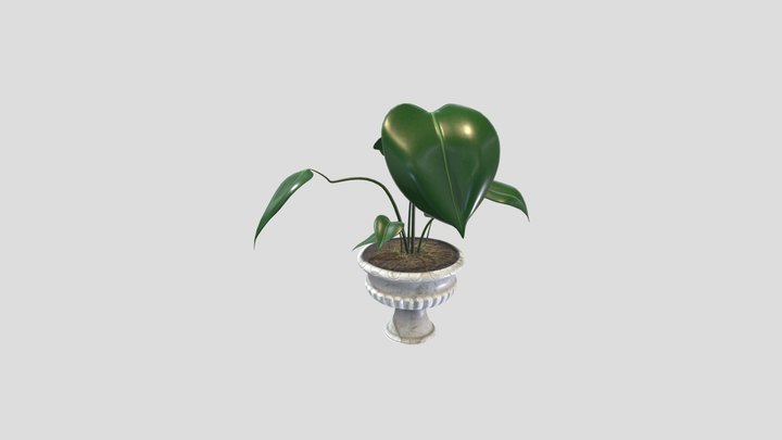 Plant 3D Model