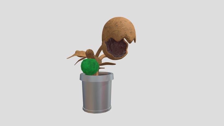 Plant