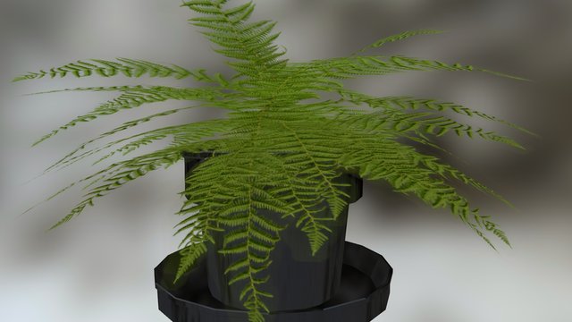 Vaso Samambaia 3D Model