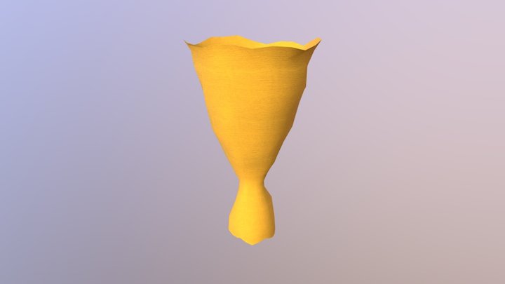 Packet 3D Model