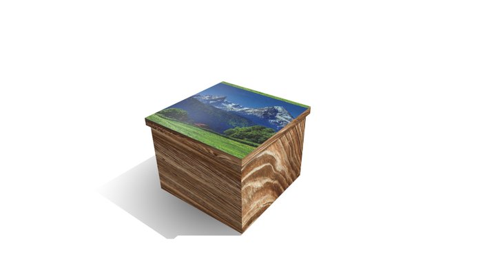 3CAJA 3D Model