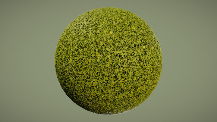 Moss PBR Texture 3D Model