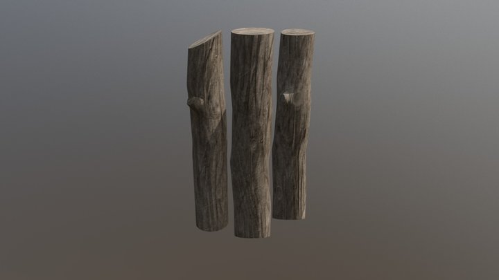 Log 3D Model