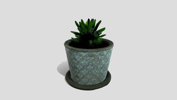 Plant 3D Model
