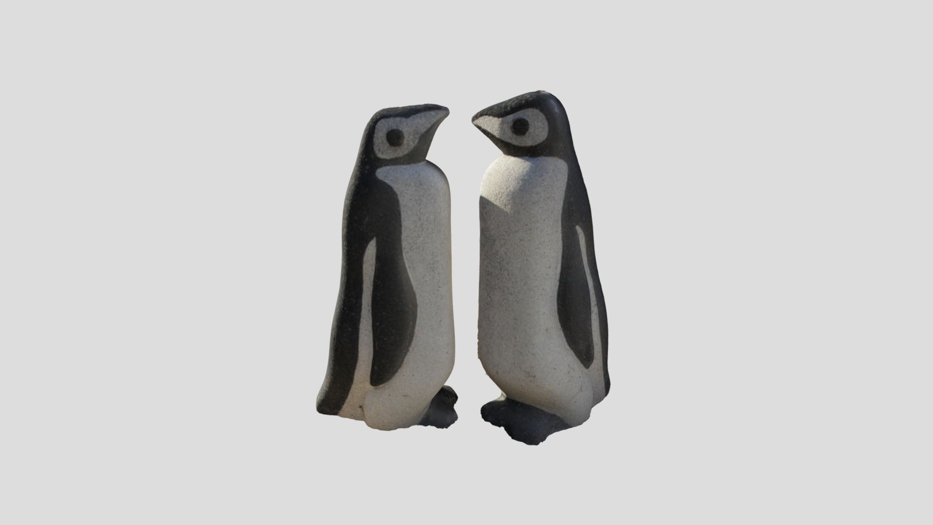 METASHAPE PENGUINS PROCESSED