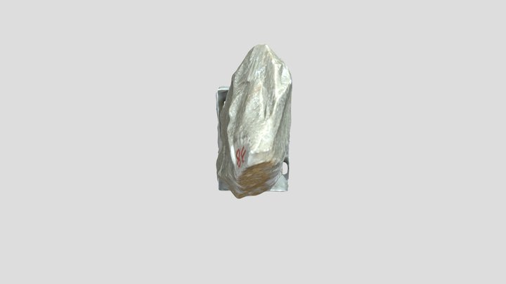 c38 3D Model