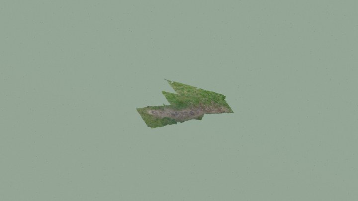 muro 3_simplified_3d_mesh 3D Model