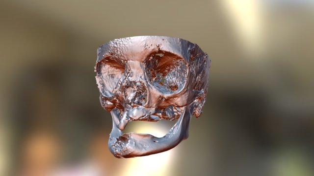 Naresh Face 3D Model