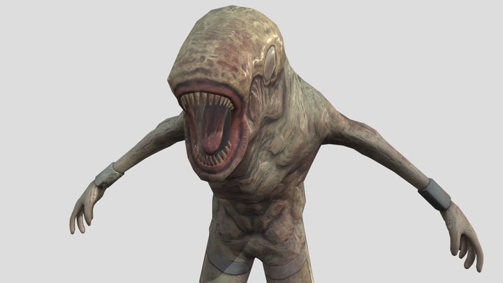 Fish mutant 3D Model